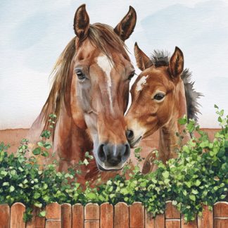 Matservett* 20p Ny Hästar Betällningsvara